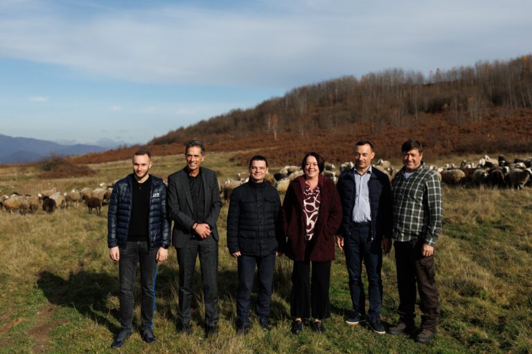 581107552_1246506787498577_5485571209765591398_n